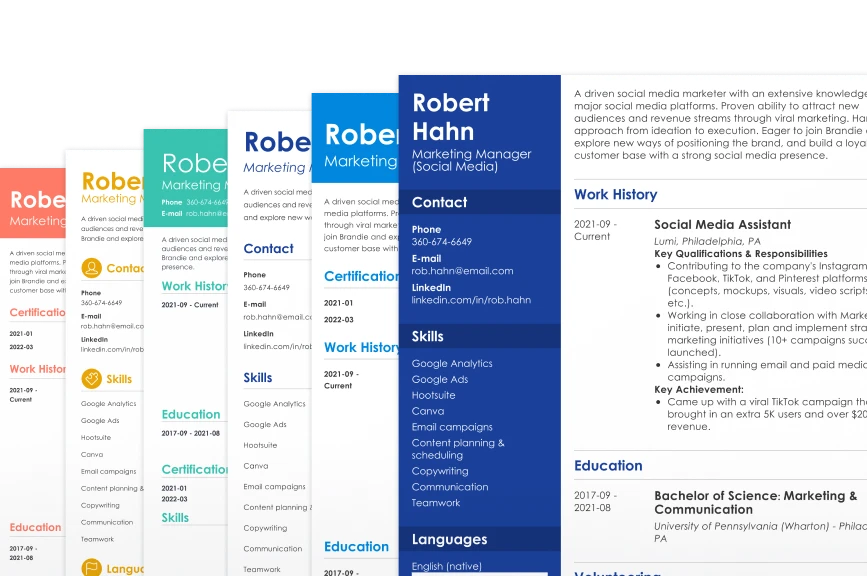 Selection of cv examples made in Zety builder