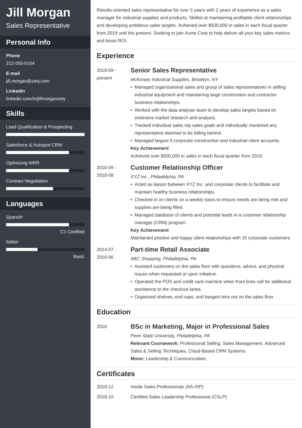 Professional CV Template Cascade