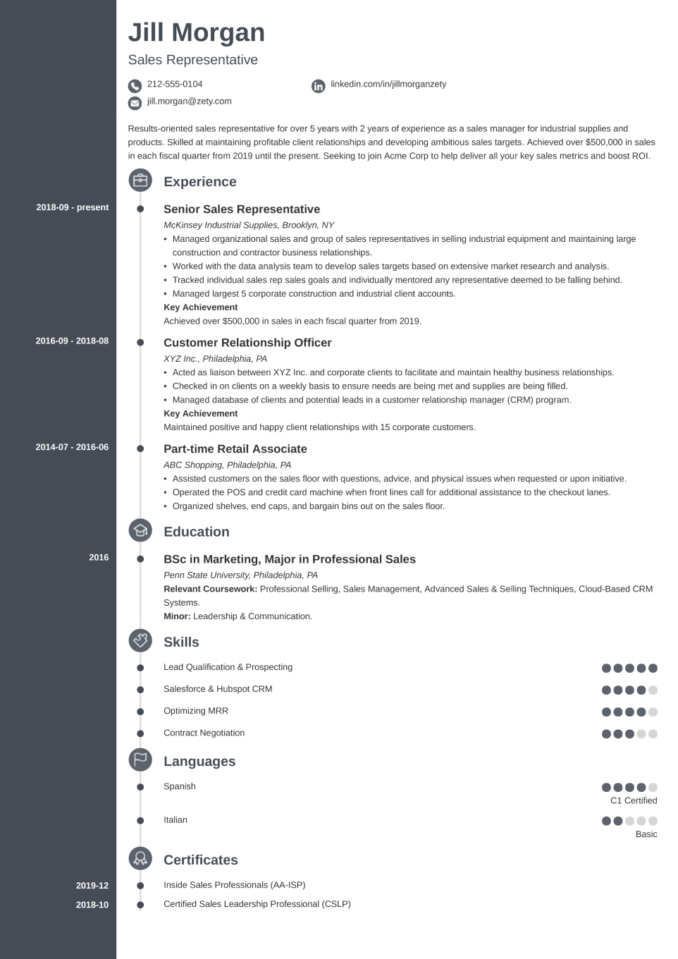 Professional CV Template Concept