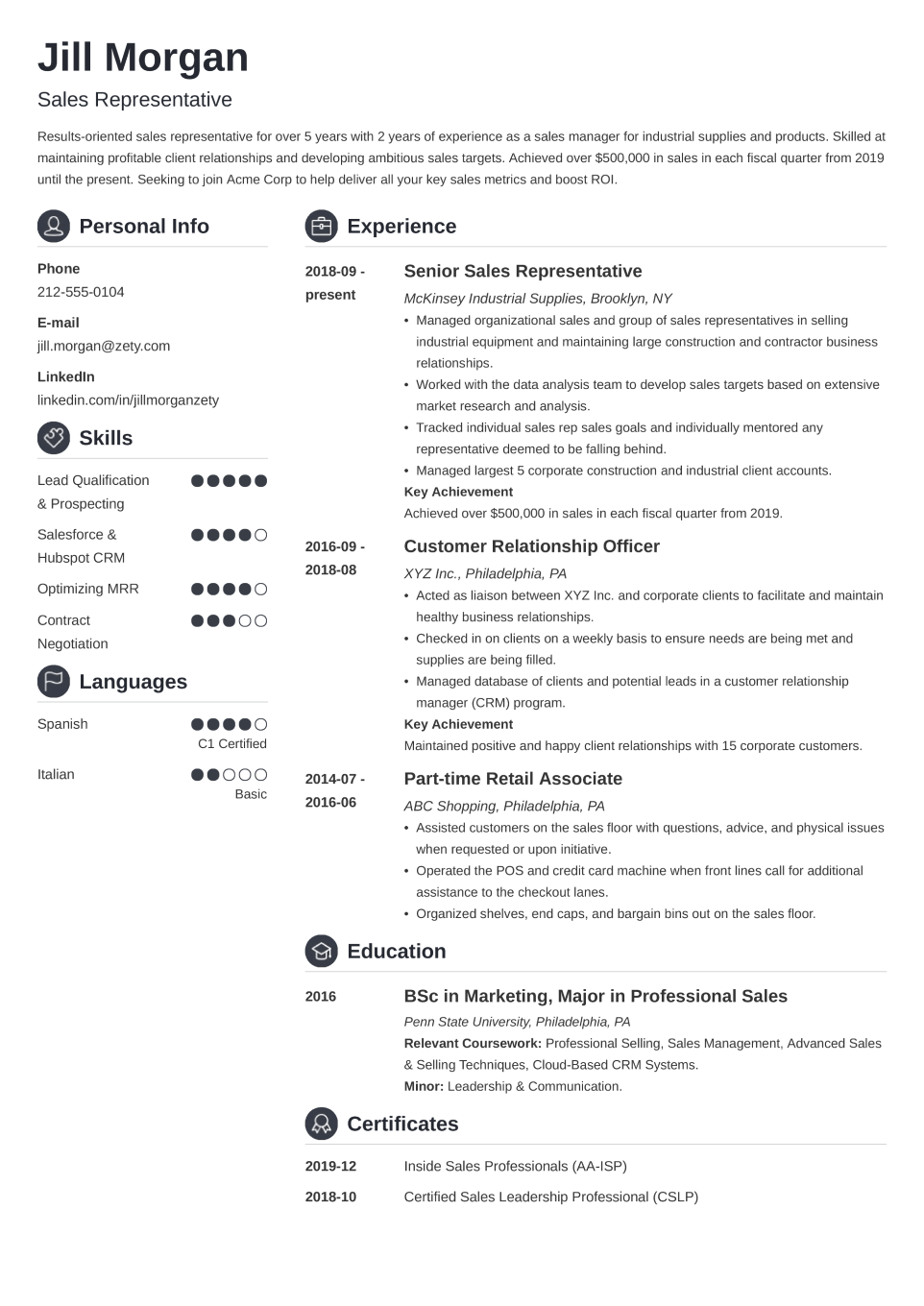 Professional CV Template Crisp