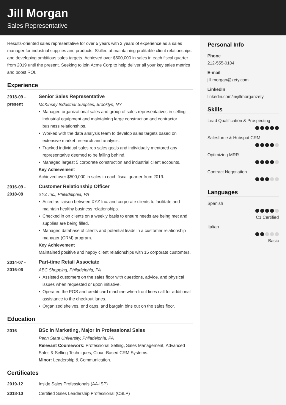 Professional CV Template Cubic