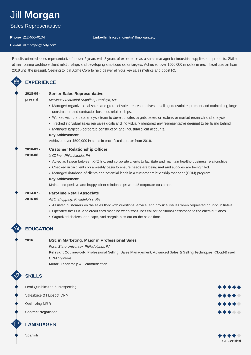 Professional CV Template Diamond