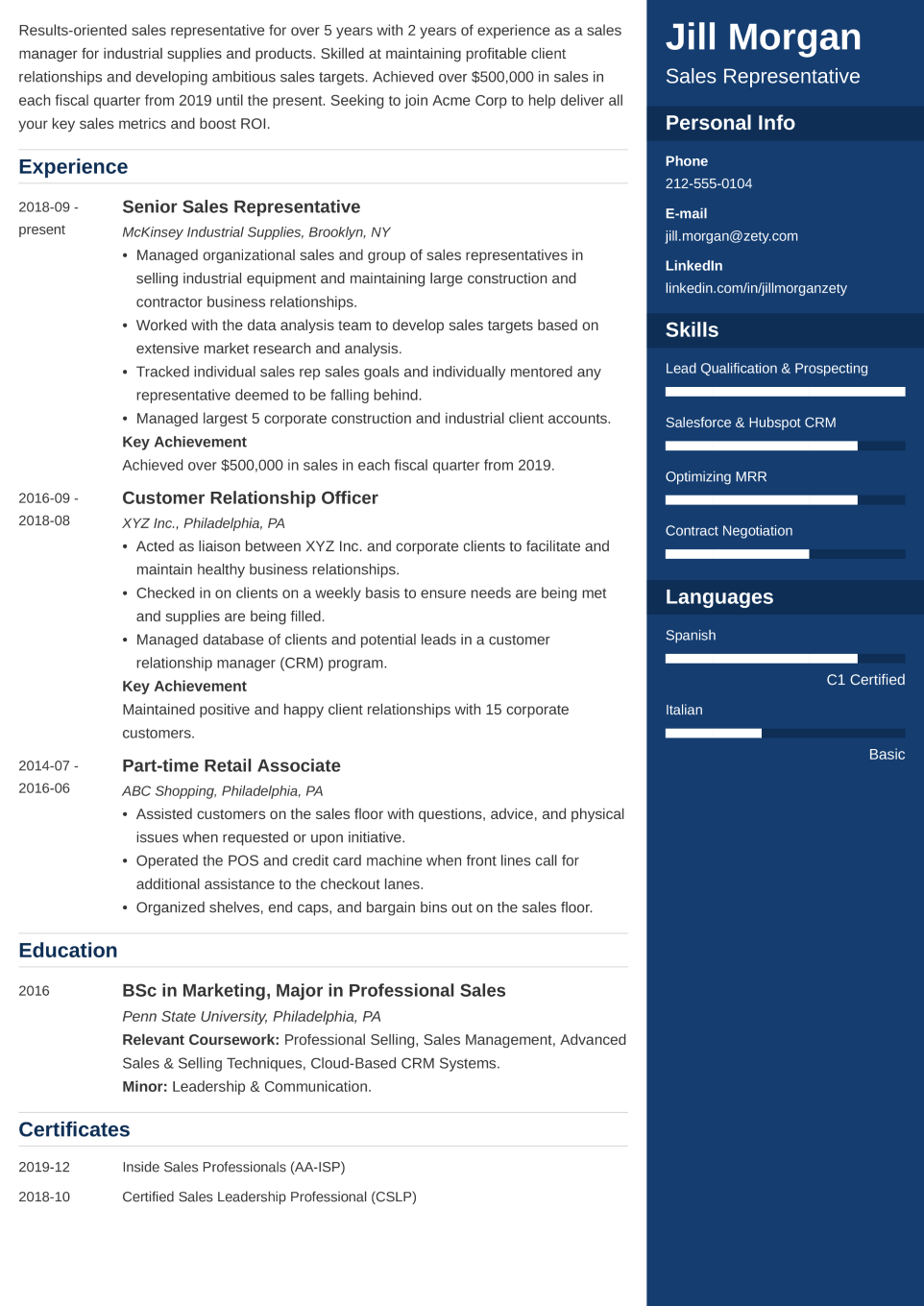 Professional CV Template Enfold