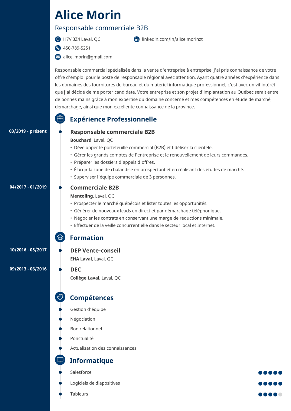  CV Template Concept