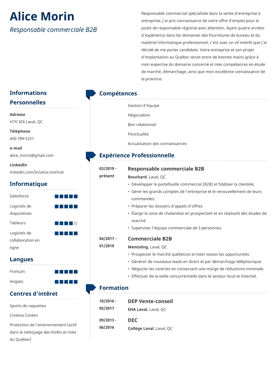 CV Template Muse