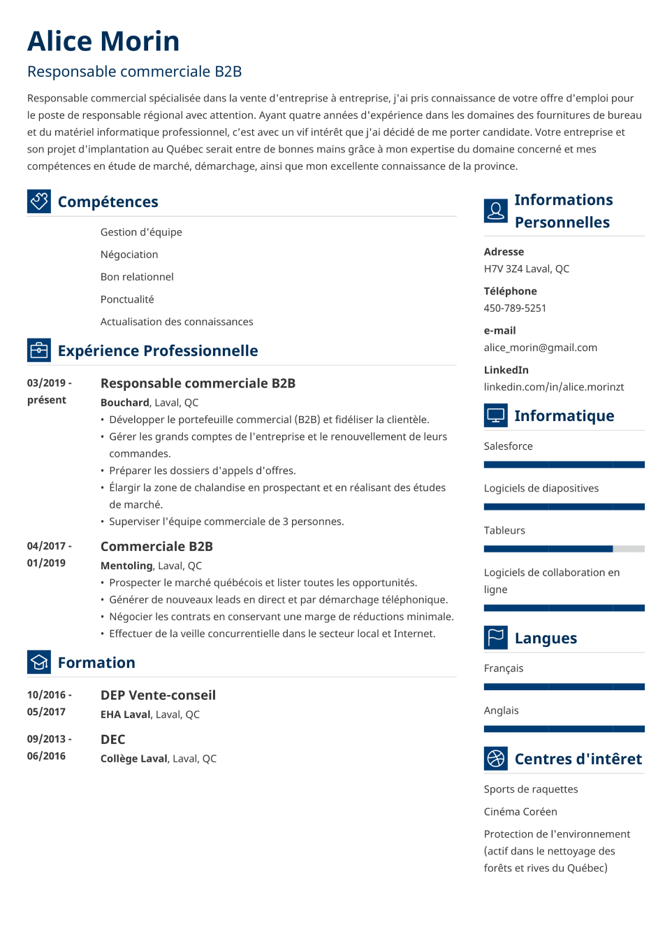  CV Template Vibes