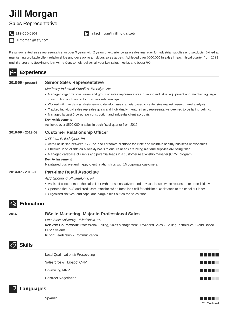 Professional CV Template Iconic