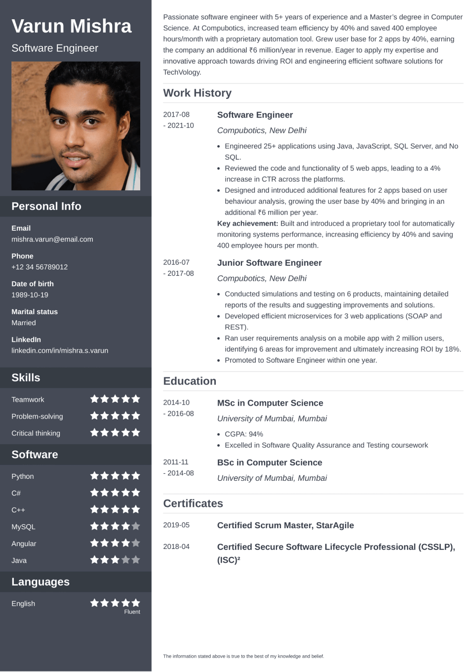 Professional Resume Template Cascade