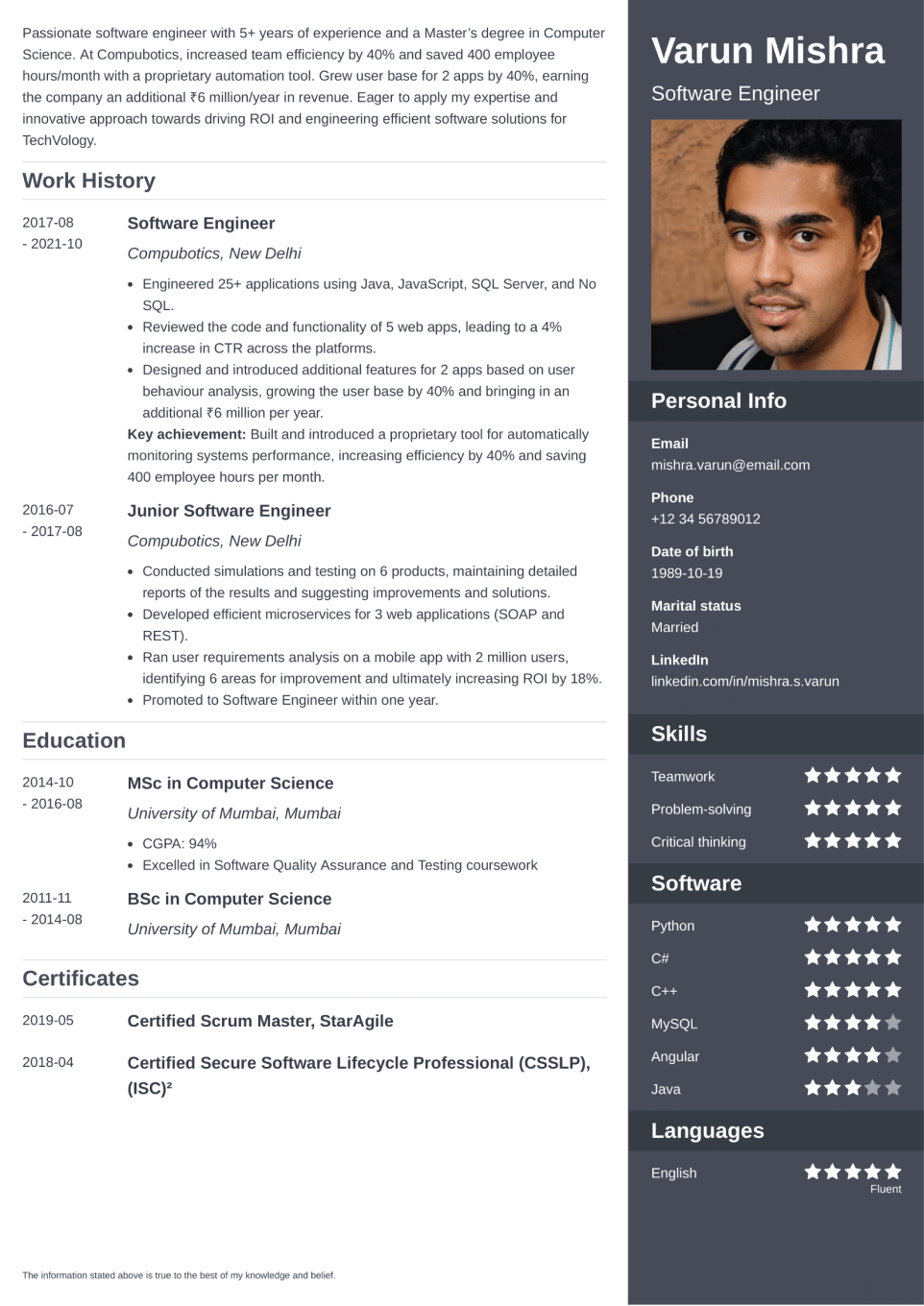 Professional Resume Template Enfold