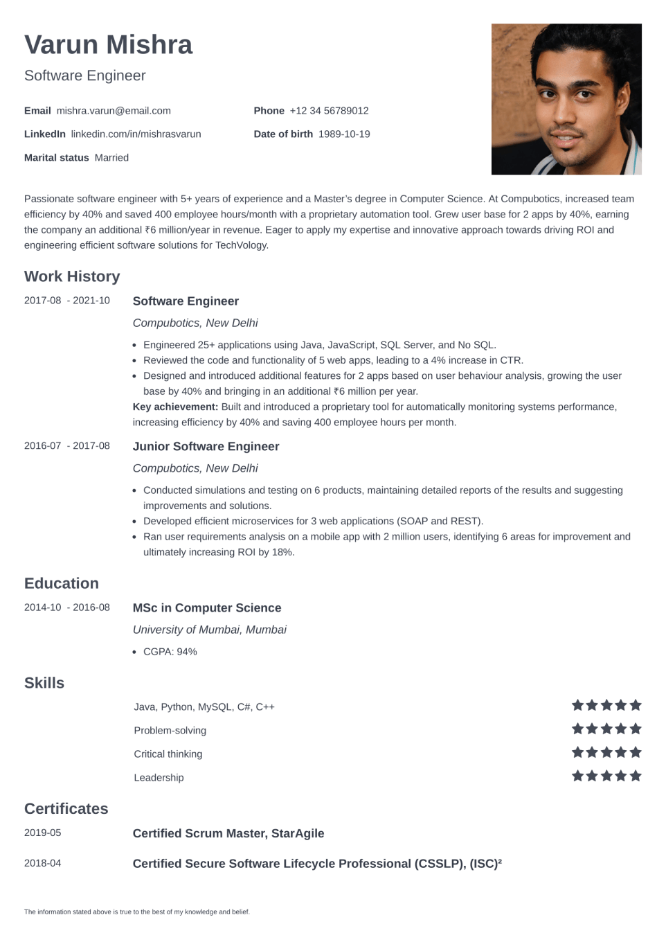 Professional Resume Template Minimo