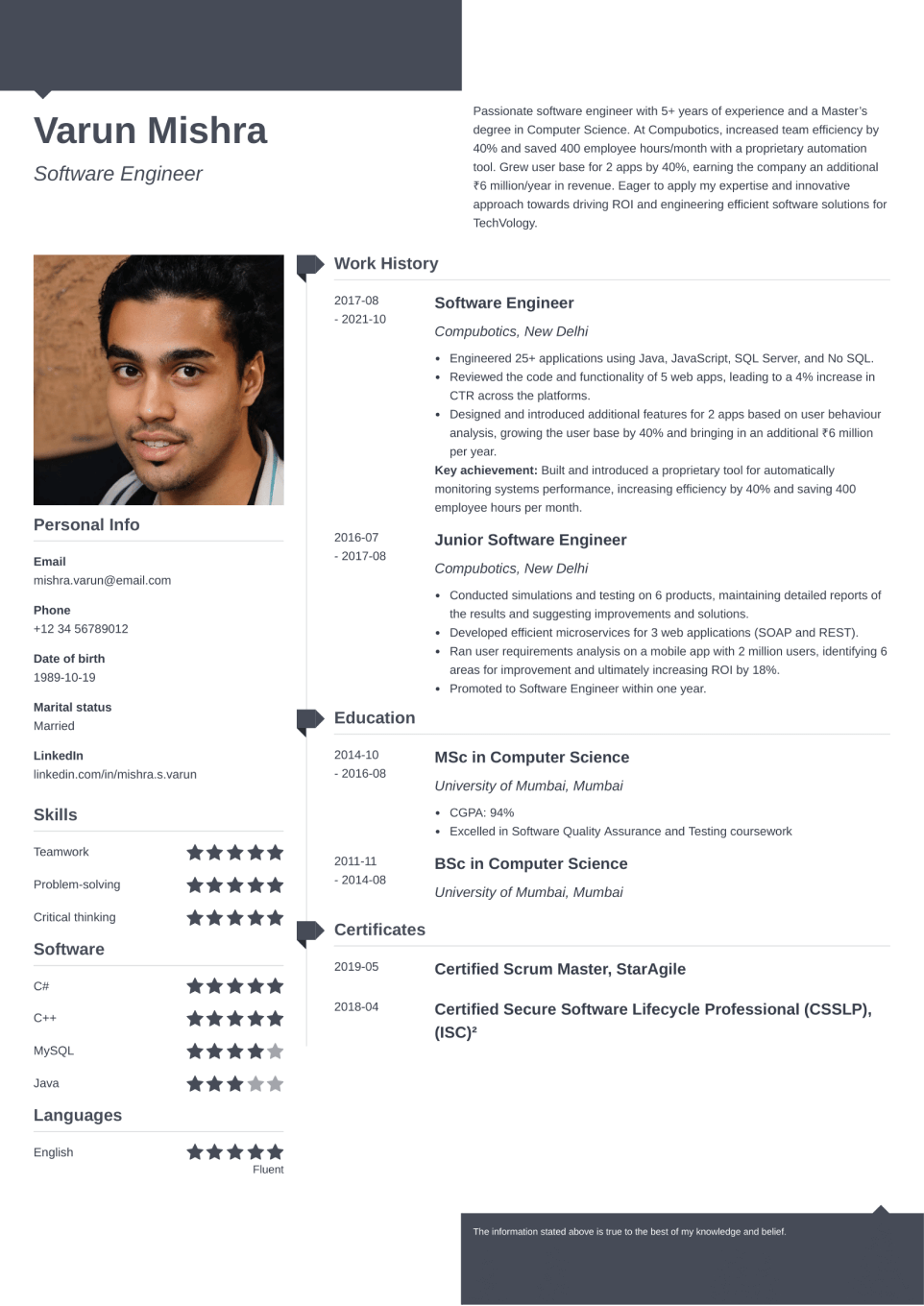 Professional Resume Template Modern