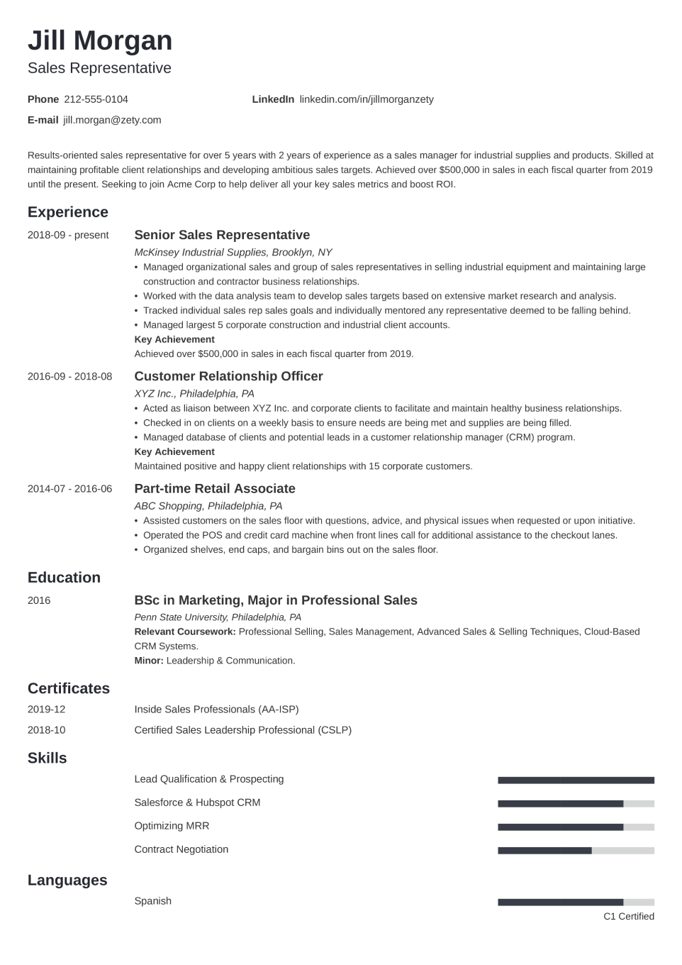 Professional CV Template Minimo