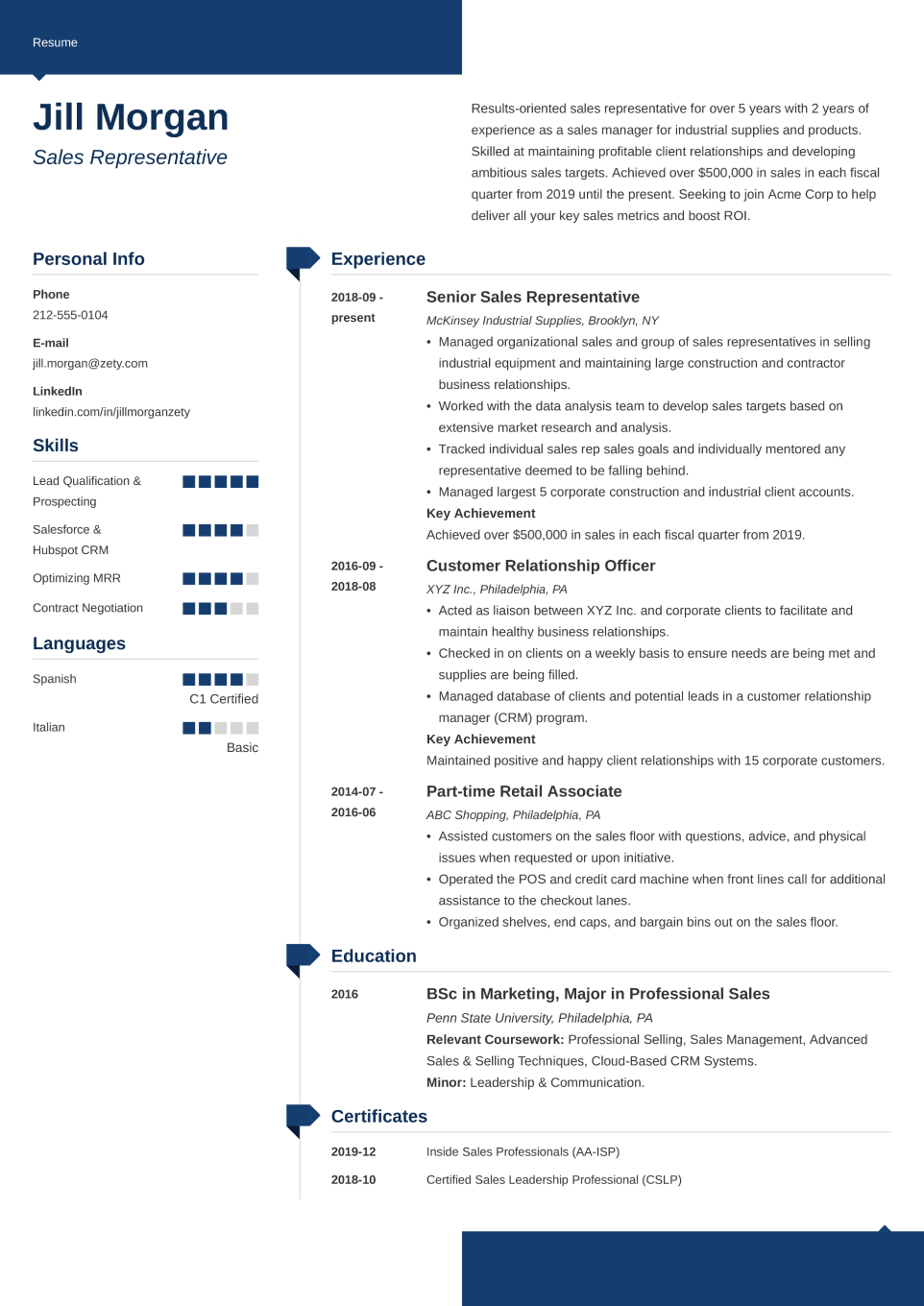 Professional CV Template Modern