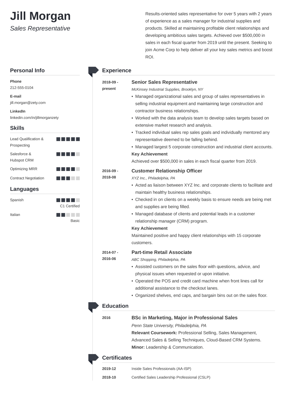 Professional CV Template Muse