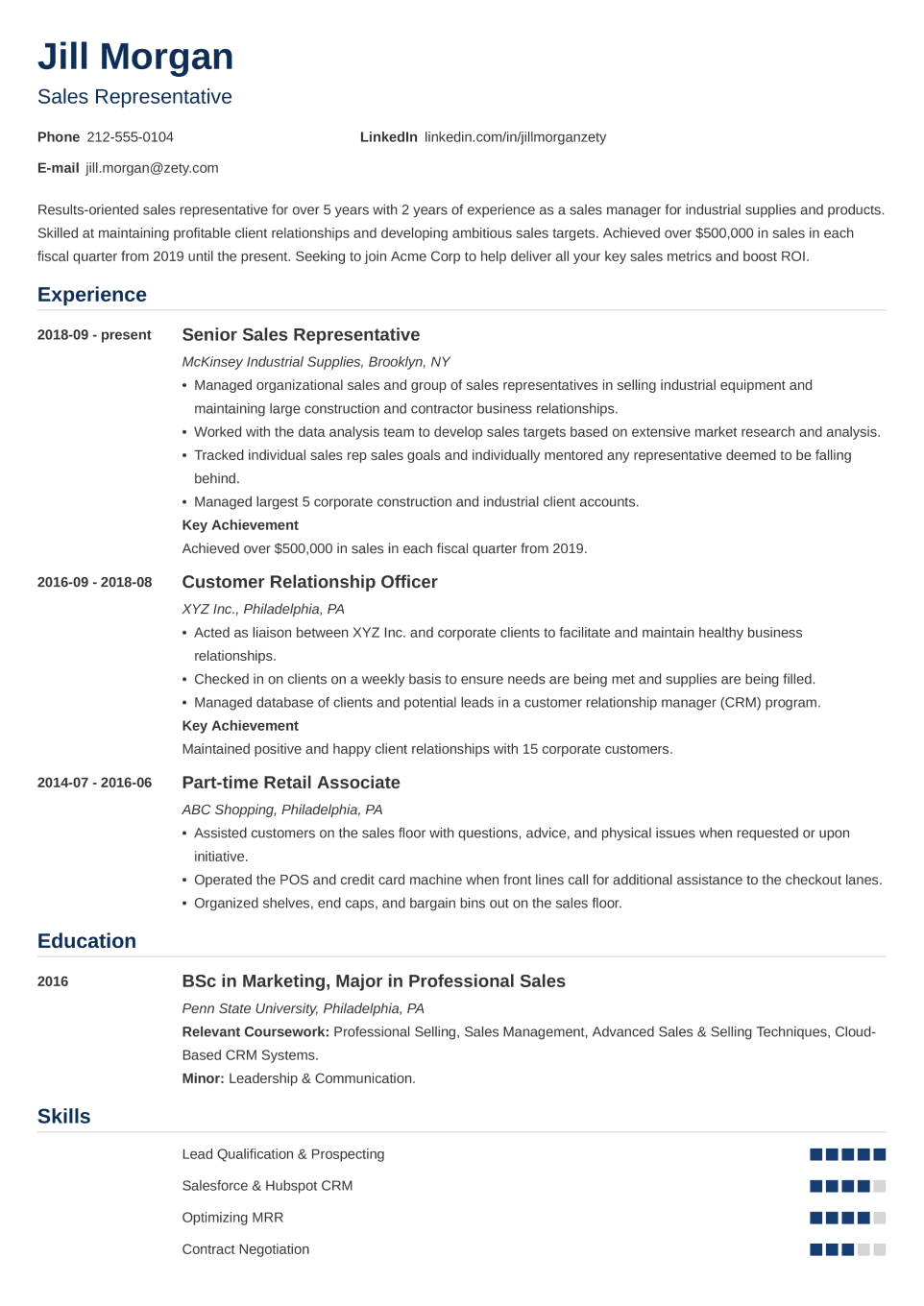 Professional CV Template Nanica