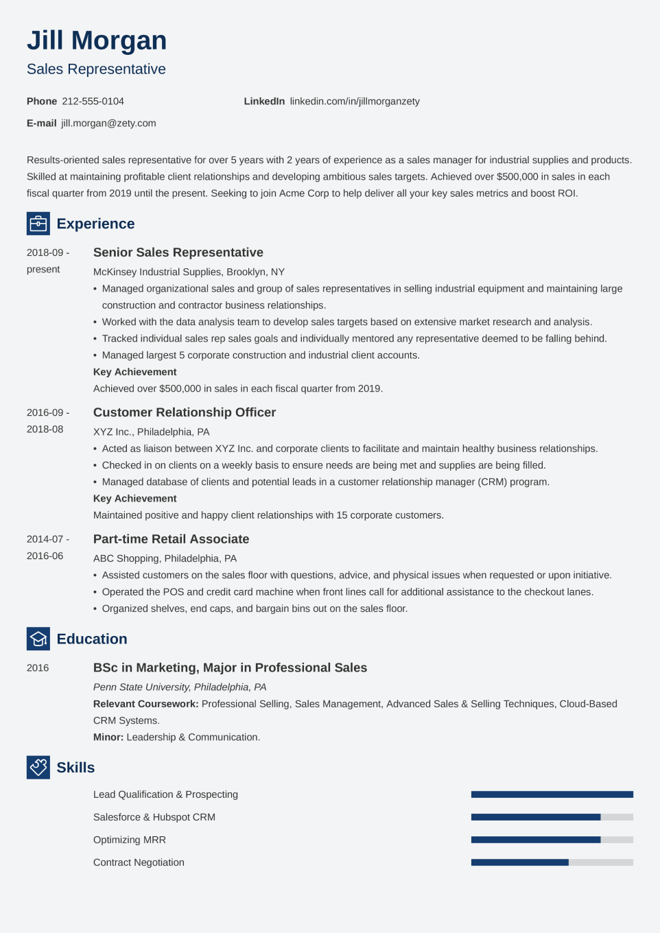 Professional CV Template Newcast