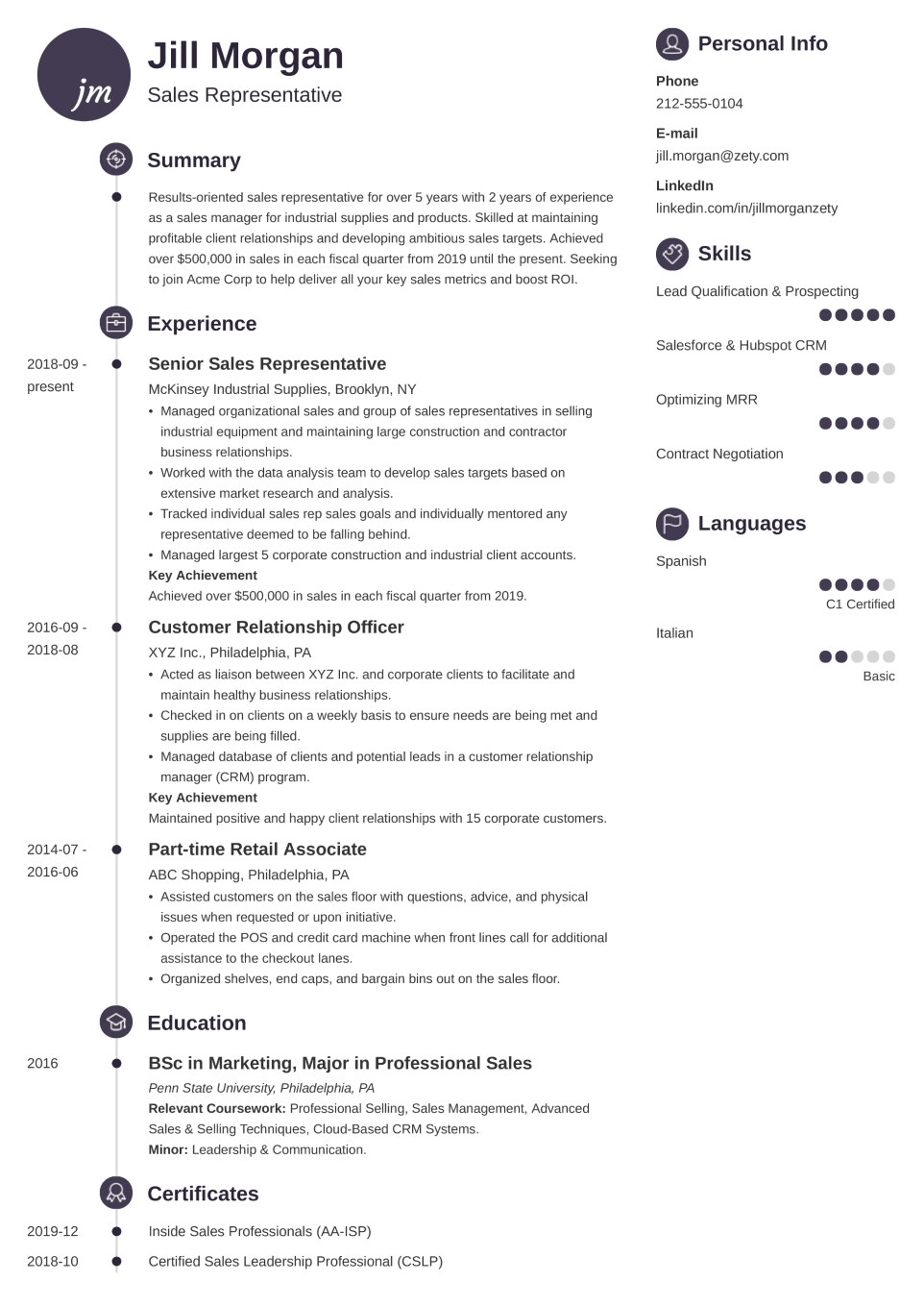 Professional CV Template Primo