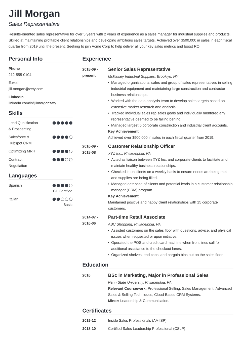 Professional CV Template Simple