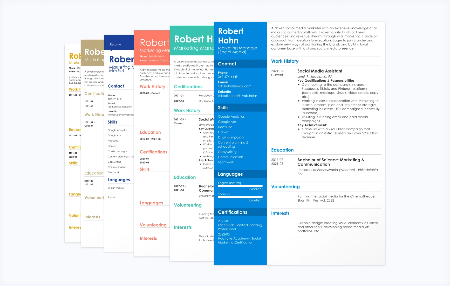 Professional CV templates for any situation