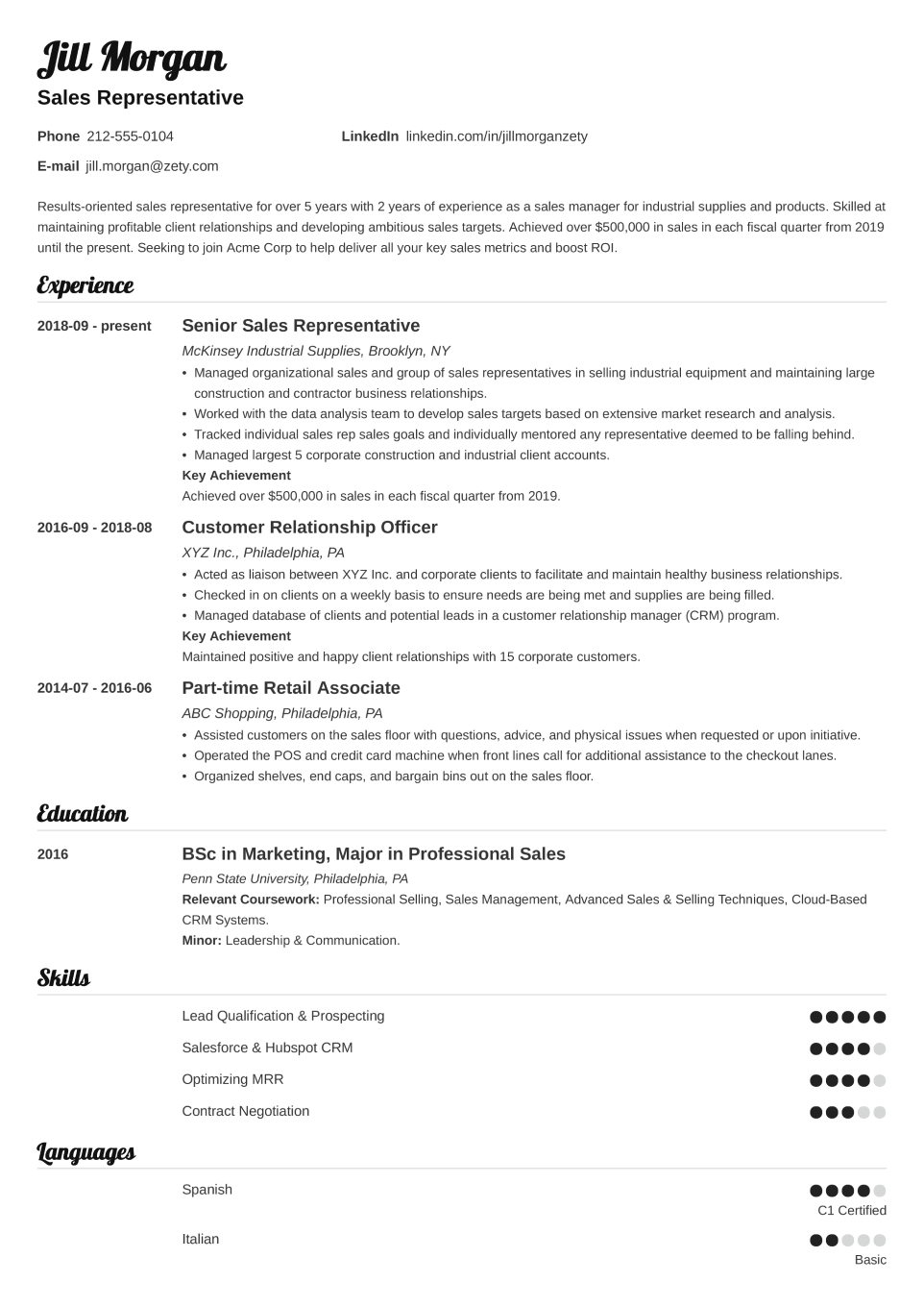 Professional CV Template Valera