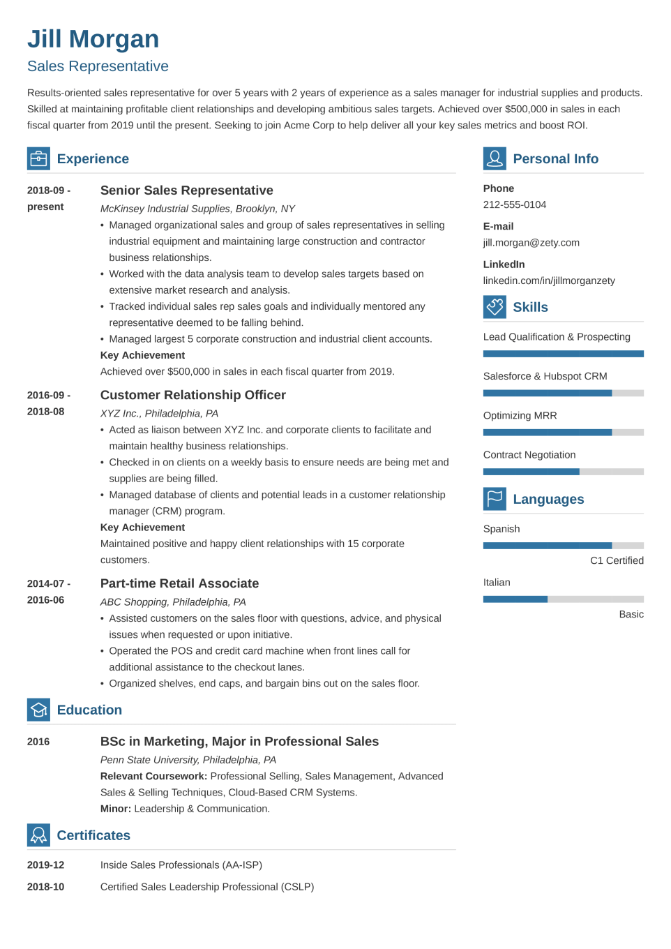 Professional CV Template Vibes