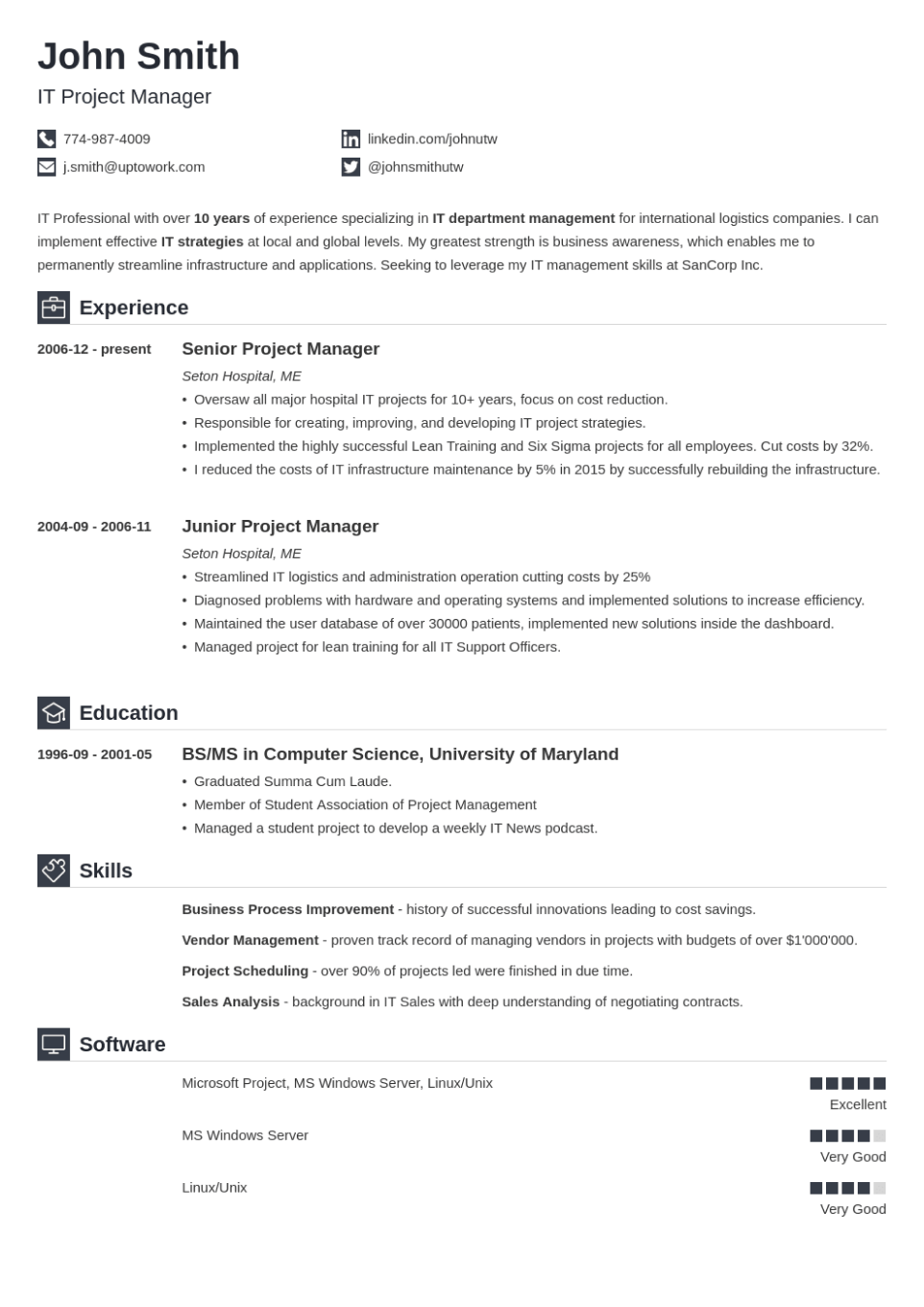 Professional Resume Template Iconic