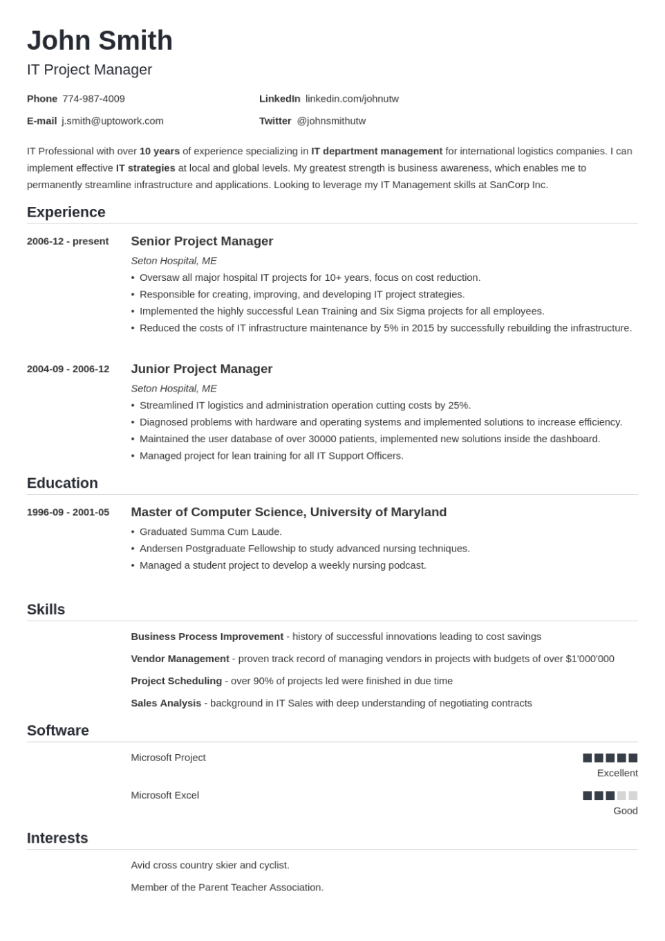 Professional Resume Template Nanica