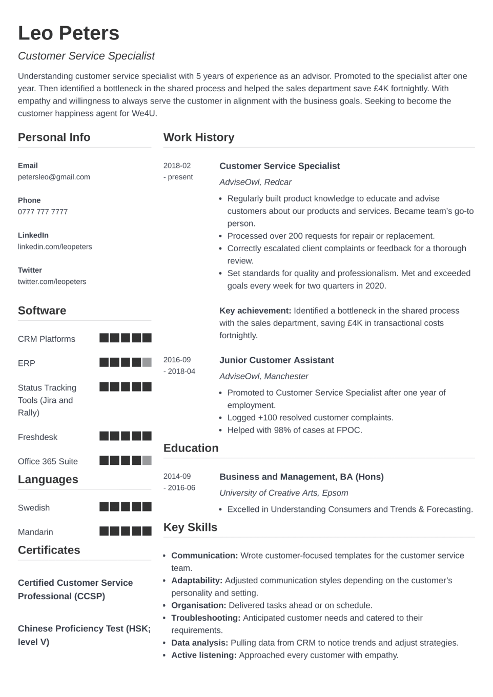 CV Template Simple